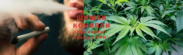 твердый Алзамай