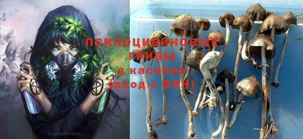бошки Алексин