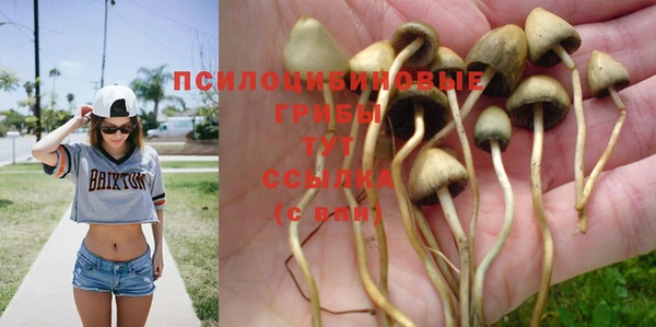 бошки Алексин